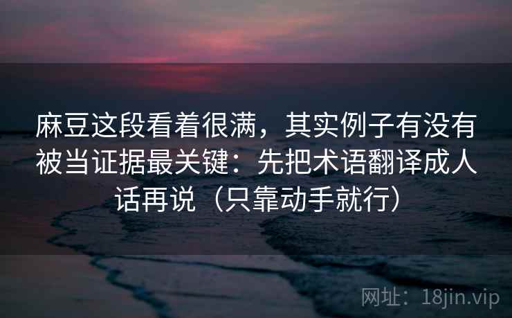 麻豆这段看着很满，其实例子有没有被当证据最关键：先把术语翻译成人话再说（只靠动手就行）